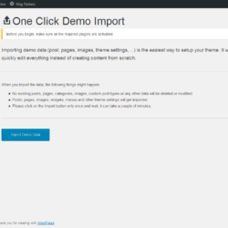 1 Click Demo Import